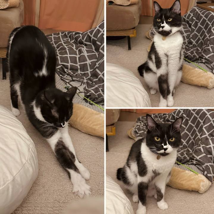 E38a0ed2 cb30 4cb1 81ae 54cb58ded71d 1763389051322