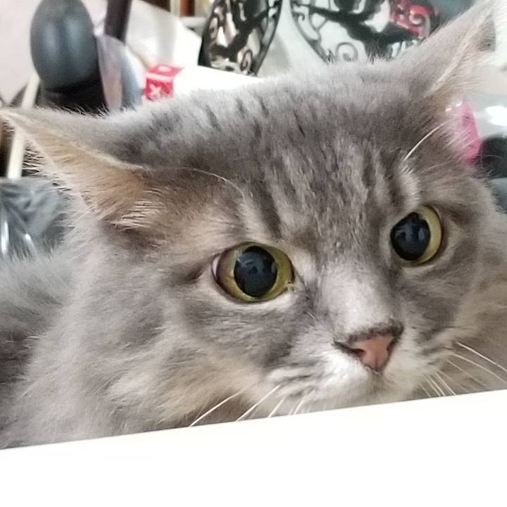 E38a33d6 8fbc 4eac 8af9 8bd3e24f516f 1598698353227