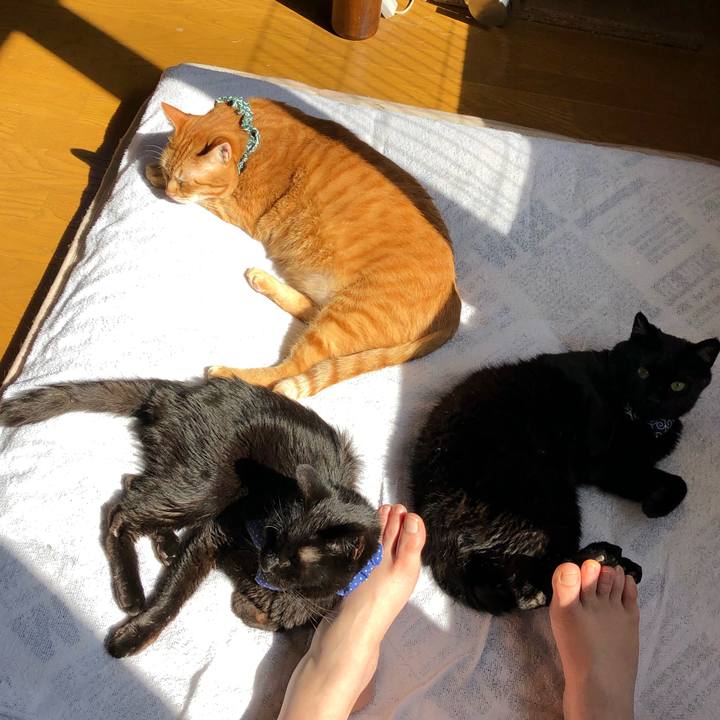 E38a3657 5515 4eac 829f 9e79aeac6e27 1555115535950