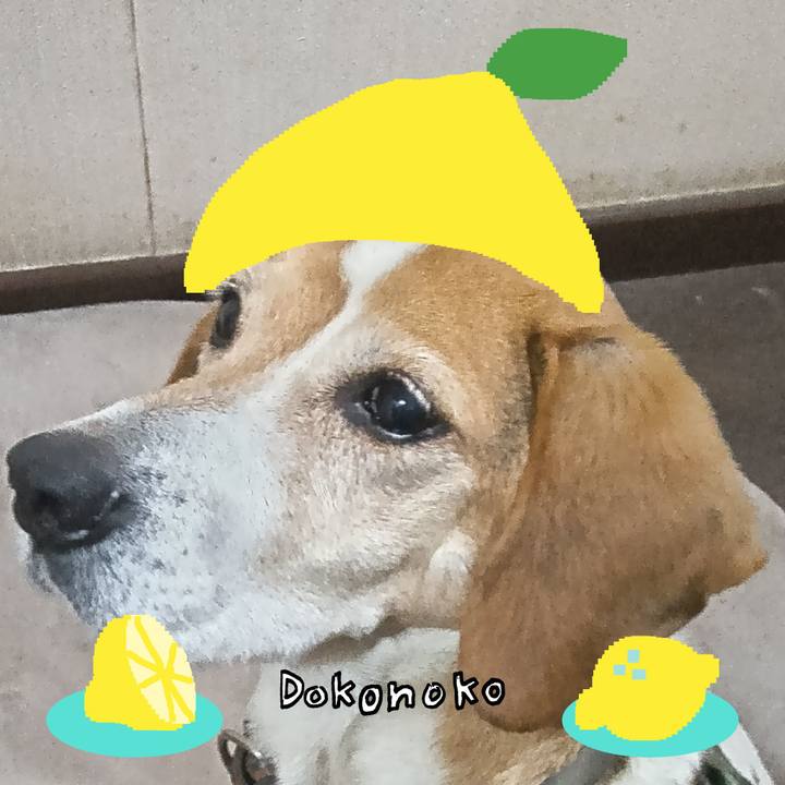 E38a6118 3b88 45f1 806a efbee39a0076 1741258257578