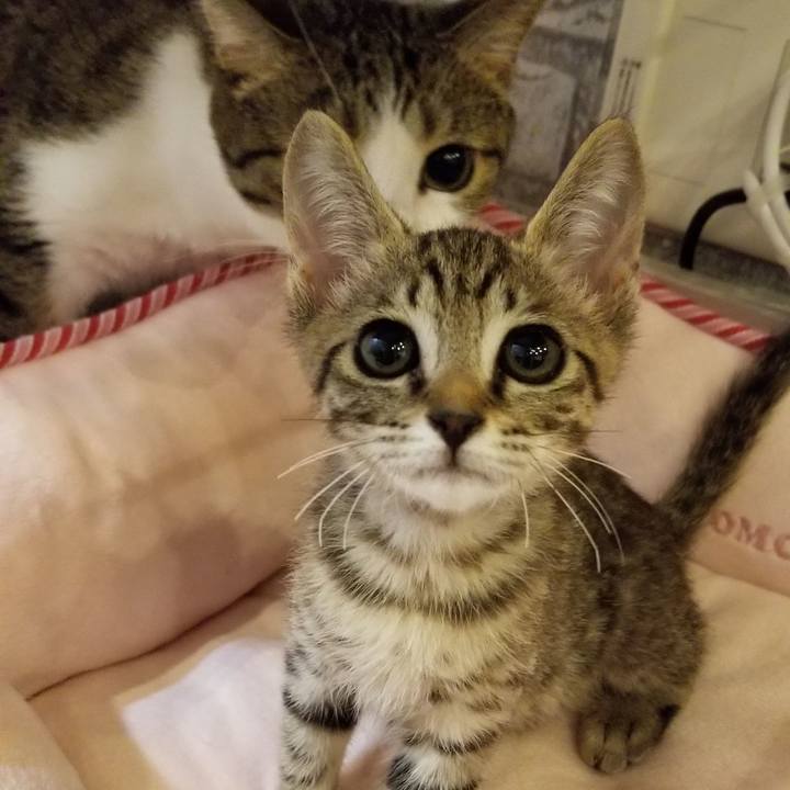 E38a8bb5 0e37 4ec1 8490 b8b8696fd0db 1536206948340