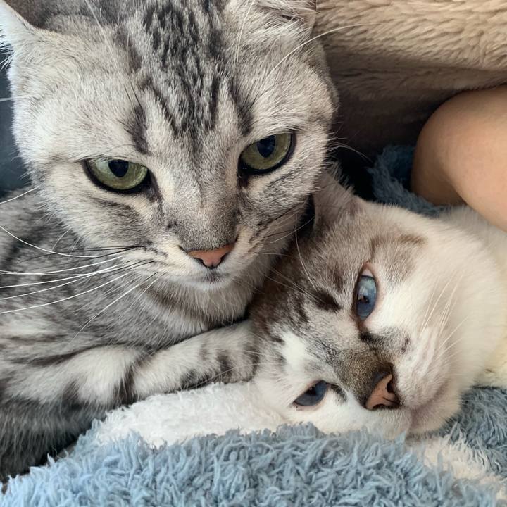 E38aac30 826a 46b3 ae5b 4d91c160725c 1640823460297