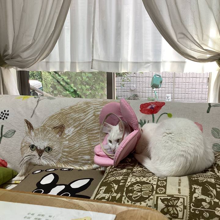 E38ac1b1 ede5 4f67 89dc 562286b44465 1683759633597