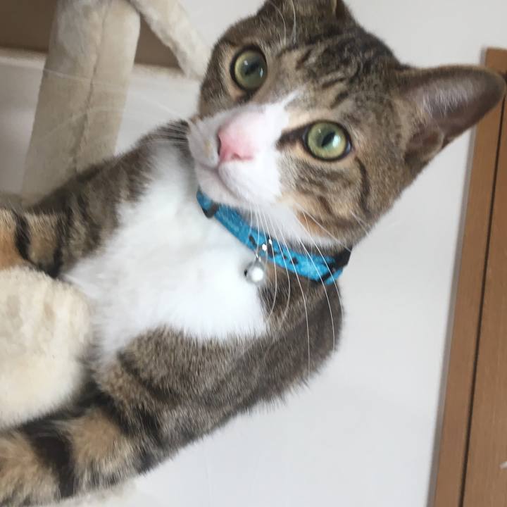 E38adf6f 68ac 4c3b 9c33 60ab0a905fed 1679269661467