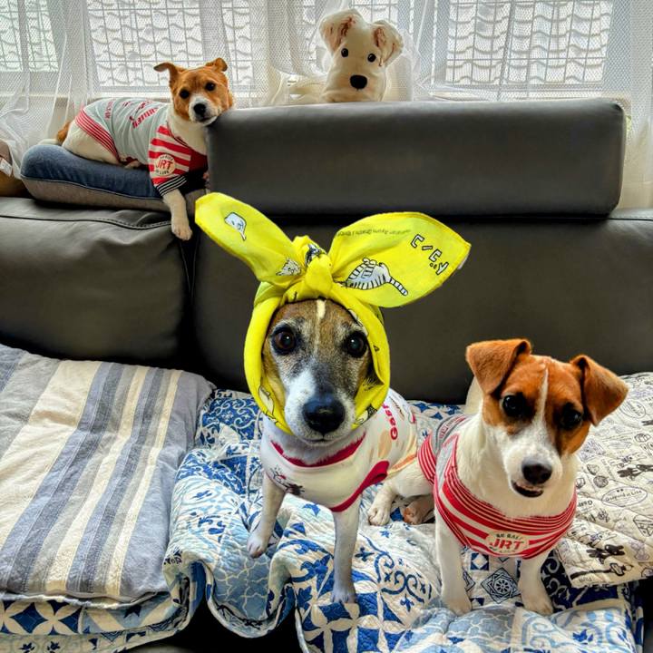 E38af60c e1a9 4822 8ed5 c5f125e4fa05 1722922057770