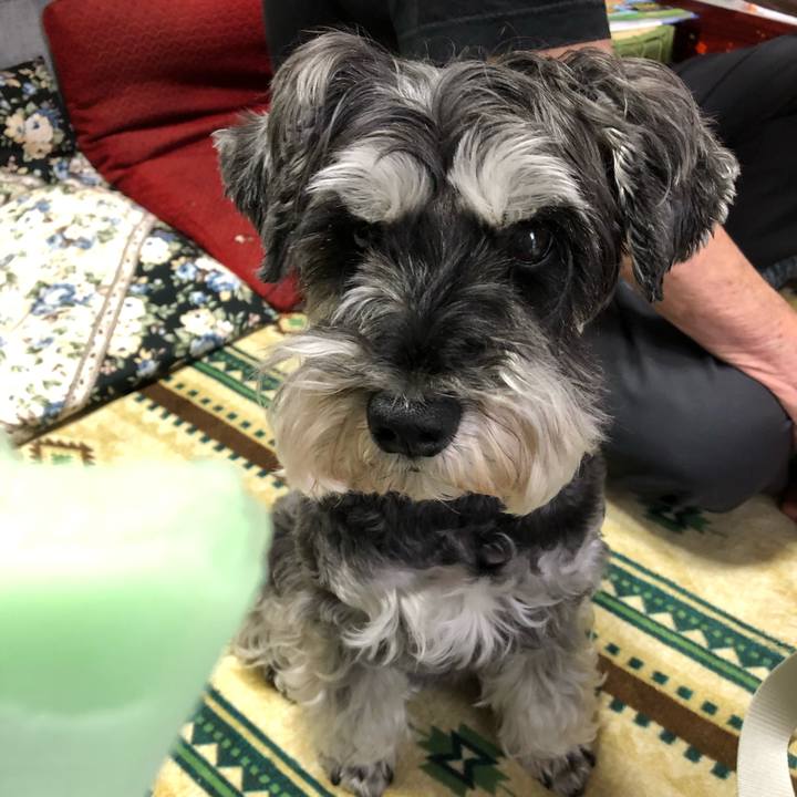 E38b2d52 58fc 4e7e b098 540c7415475b 1655338261026