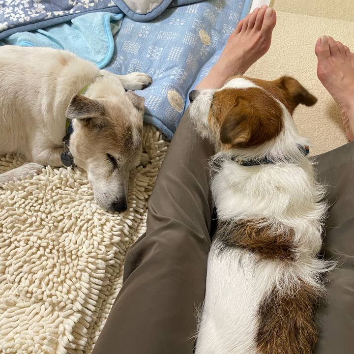 E38b47a6 c2bd 4faf 87a5 5e8bb463259a 1726294387531