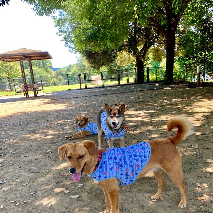 E38b878a 3425 411c 9057 8f908ccae17a 1565140962797