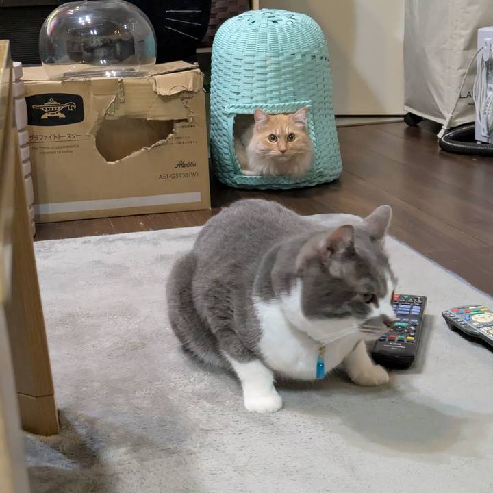 E38b87f2 bd83 4887 be0e c12bdefc3d28 1745759791725