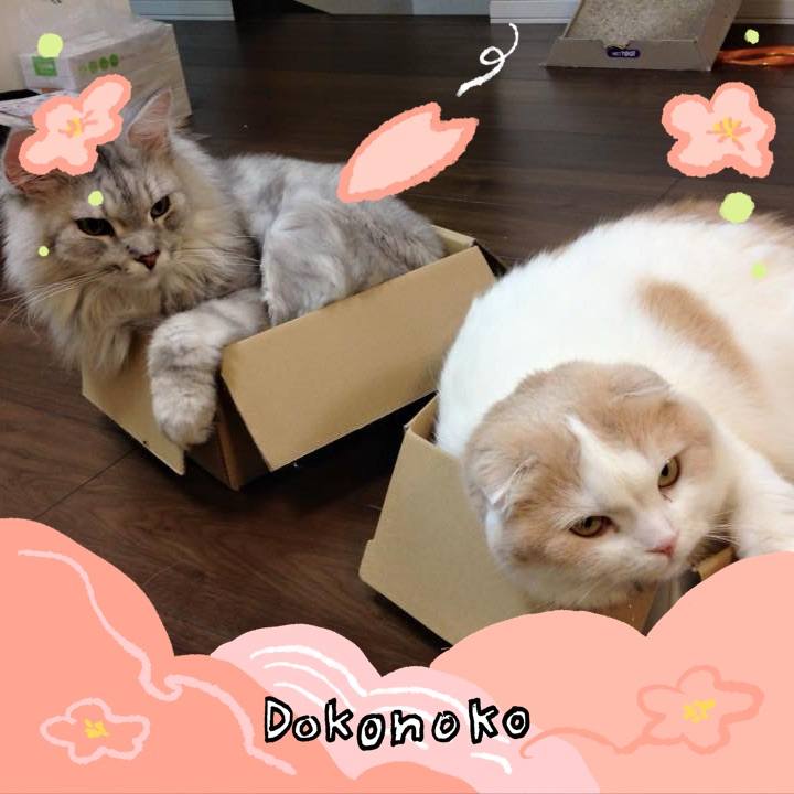 E38bdd82 1740 4734 a331 5a8281b30156 1775277462424