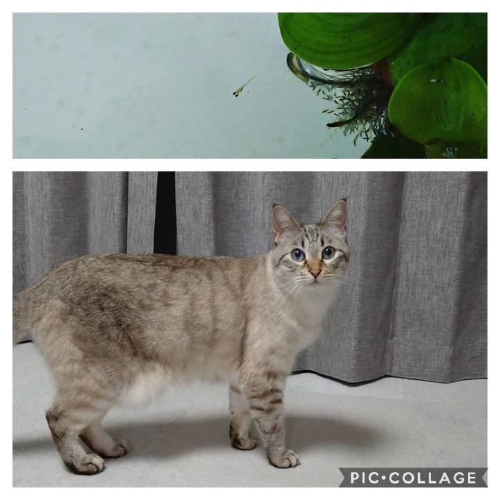 E38bfb20 9f94 488b 95ce 9f617251d553 1620471371628