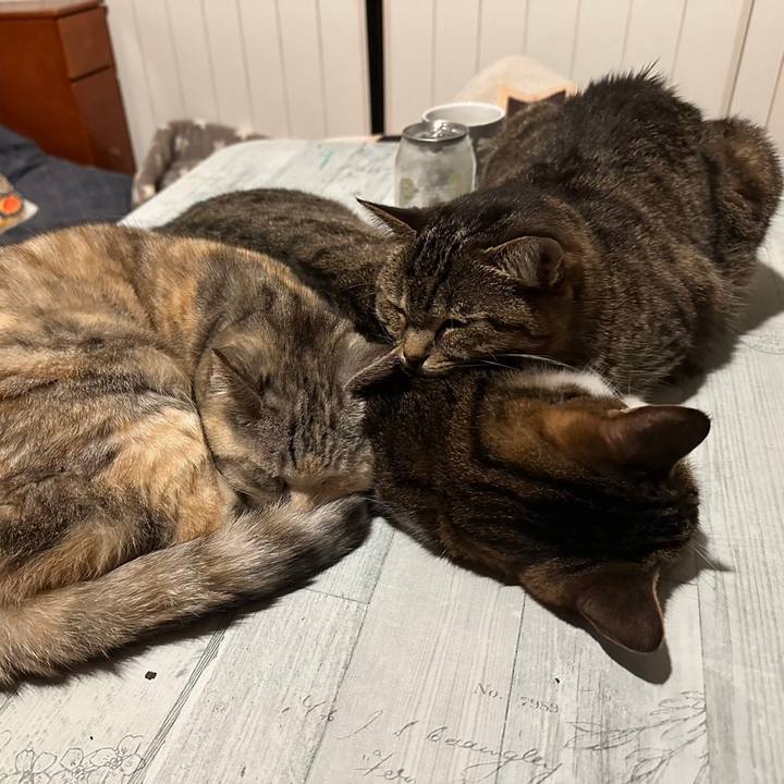 E38c3663 007b 4d71 9d94 ebc84ddc07a3 1713772205847