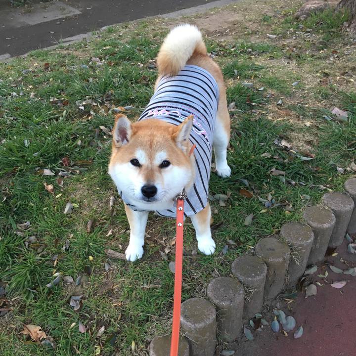 E38c3b60 f5ab 4ce6 b0f7 f1576218deb4 1554196606281