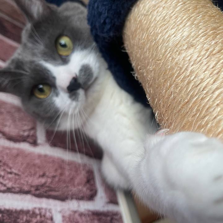 E38cb804 5634 40b6 aeee 7c44c469c119 1720575056733