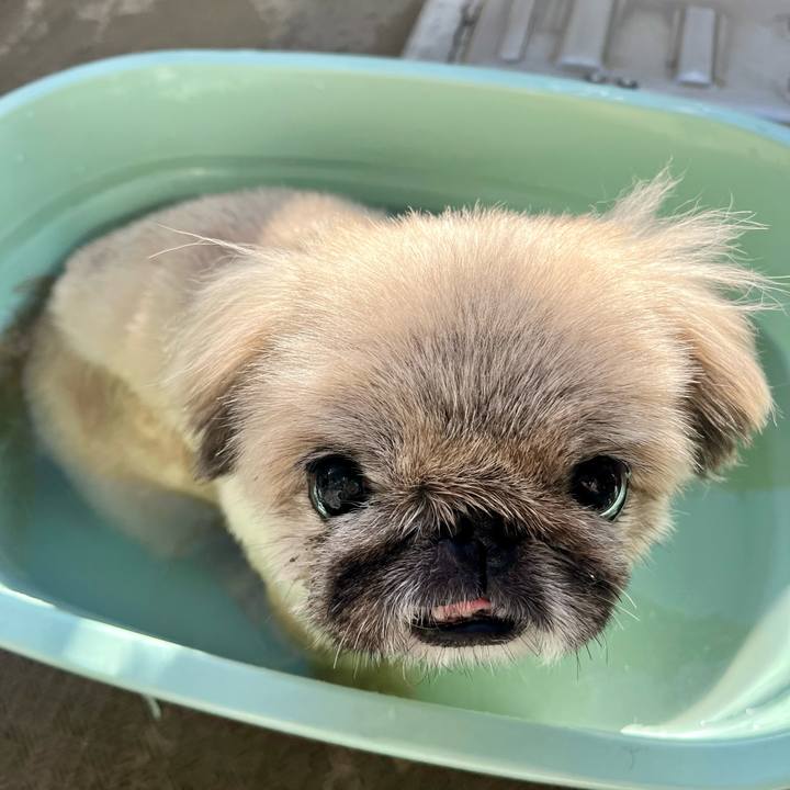 E38cbb92 b5bb 4d41 b226 f213ea33d1d0 1765167313318