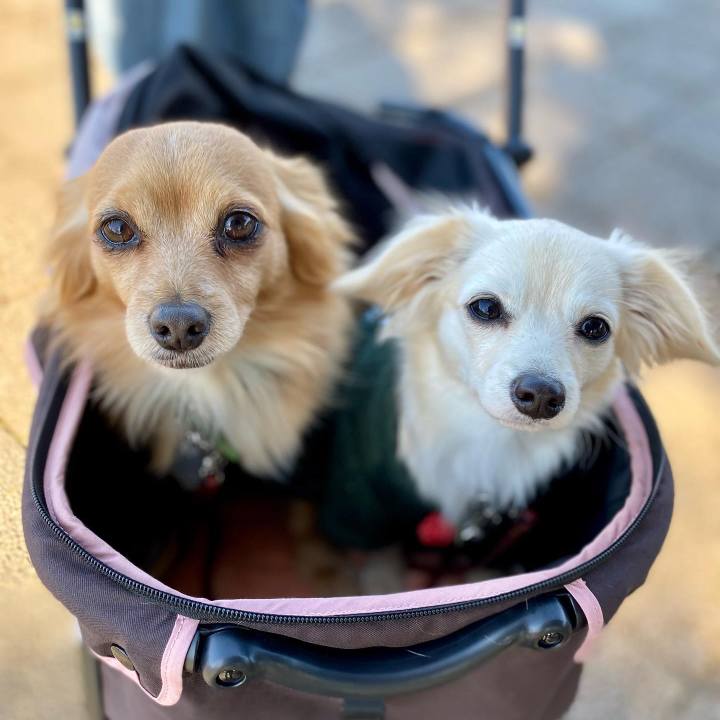 E38cbf26 7122 491b 8827 020a35b35f0e 1642684424620