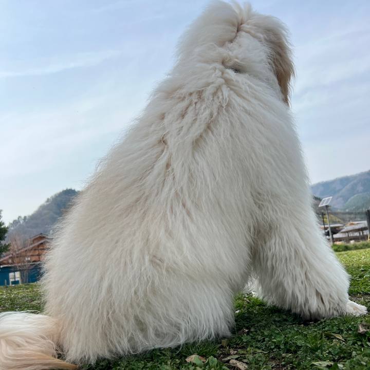 E38cf7b7 4ac6 4d68 956f 21814cfb0e69 1745270795514