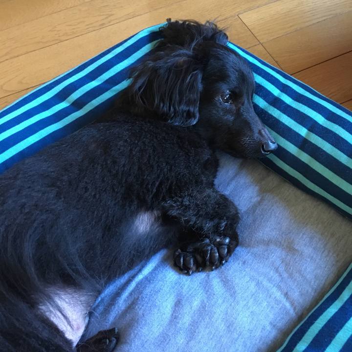 E38cf87c 648a 4f4b 9cc4 e20625a337c8 1534890779226