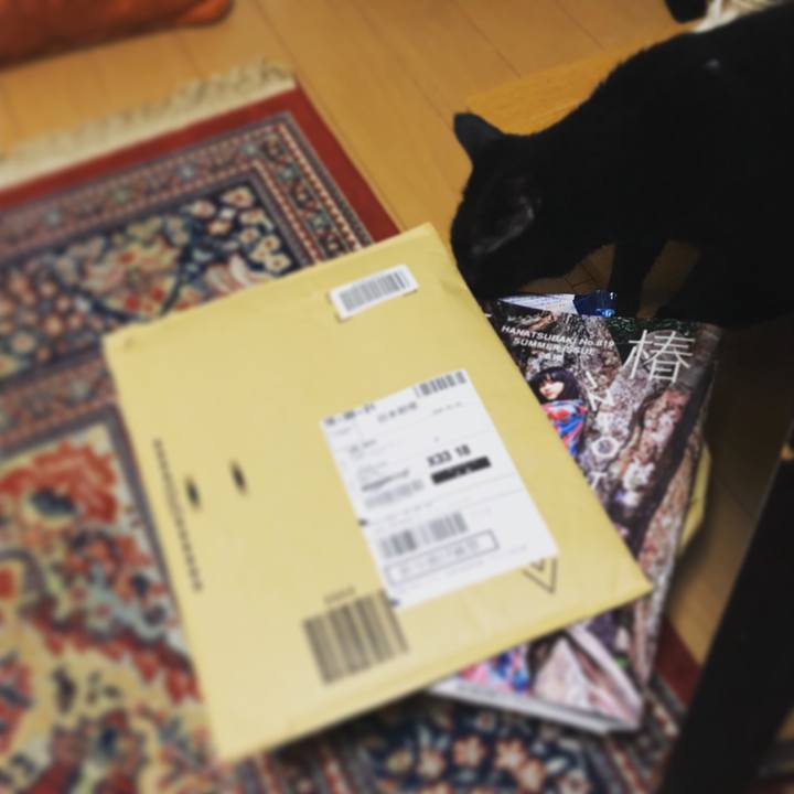 E38cfd94 f762 46de a282 1a81cf9485e5 1532247393581