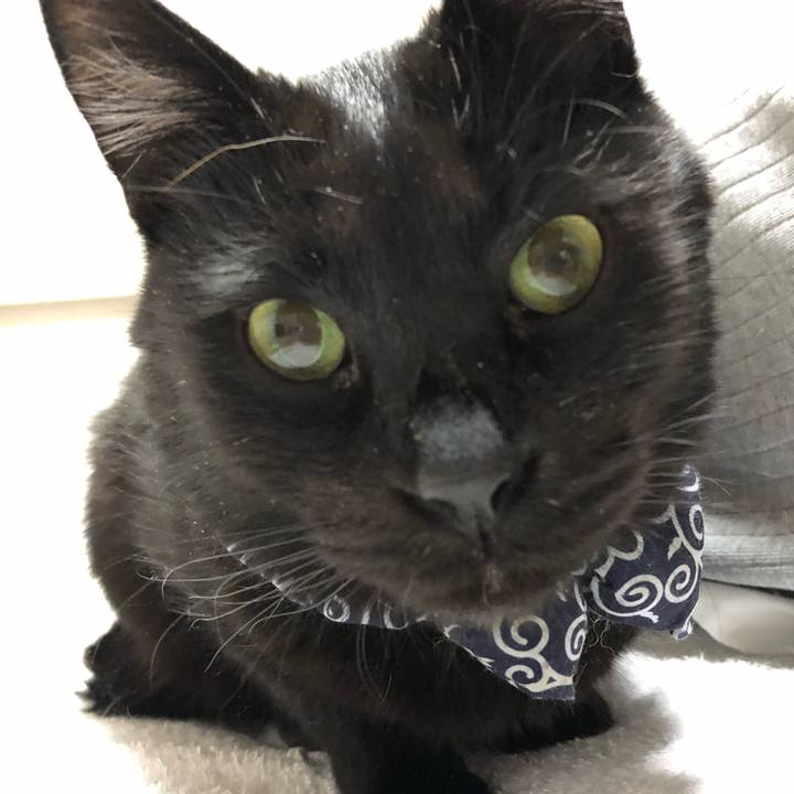 E38d1f96 c2fd 49ec bf30 6a24b1231ee7 1580593820177