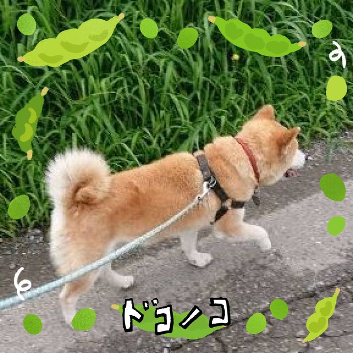 E38d1fd6 ae47 421c a97d ad5cf68be71f 1720917931520
