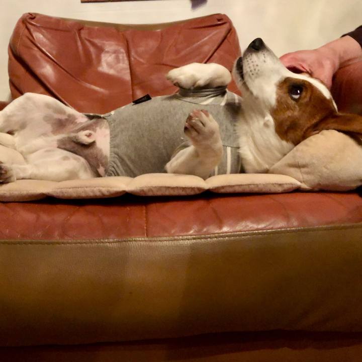 E38d6174 5515 48f2 b30e dd1c575ec047 1649844645294