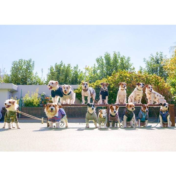 E38d6220 56da 4c38 aef2 016a44a60f07 1666873020332