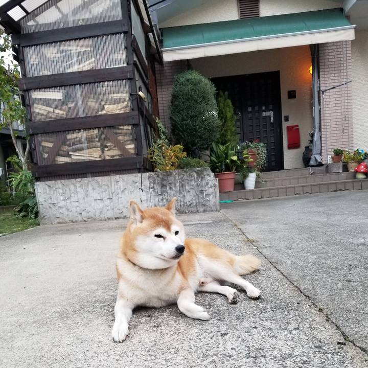 E38d7191 076d 46e9 8e03 f30e07f7c10d 1634888988398