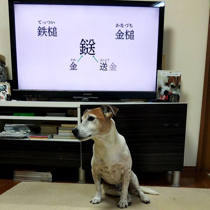 E38d83a6 6278 4817 ac4d 812bb86fb9ef 1555280200600