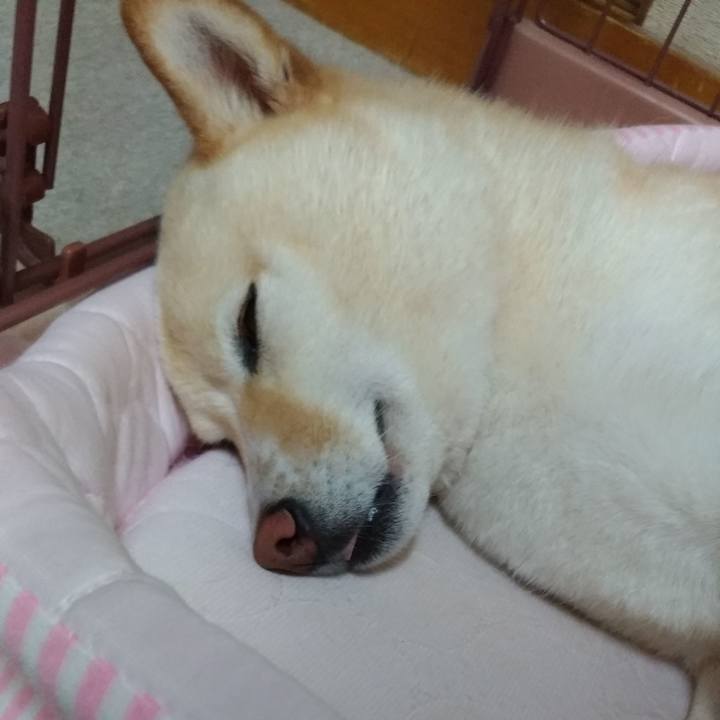 E38d926c 22b6 411f ac1c 16d796bb8262 1594386013562