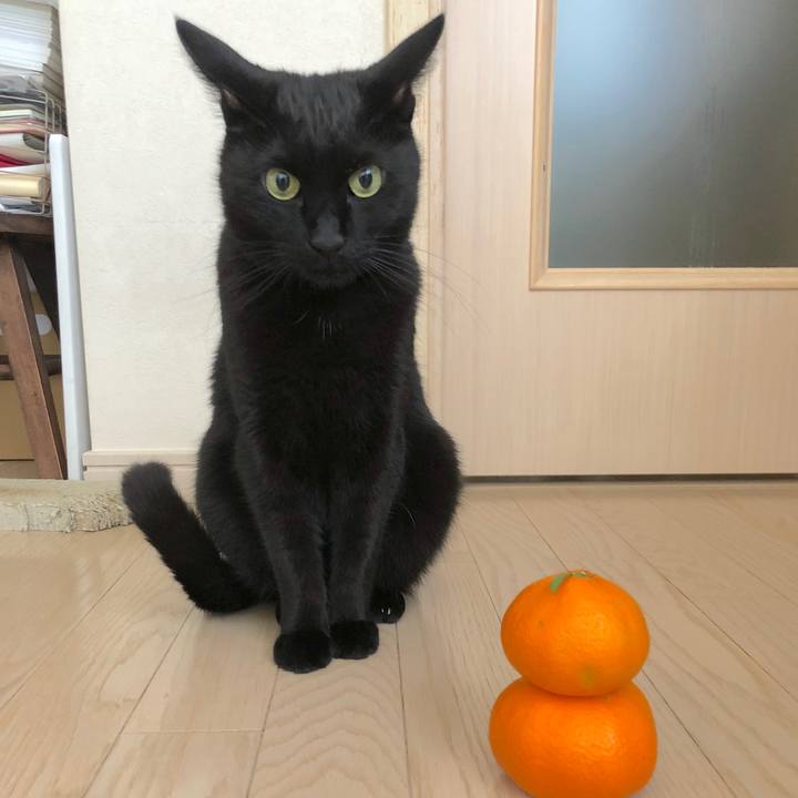 E38e6969 3eab 49b6 bd50 2e5f7bc78884 1514772594348