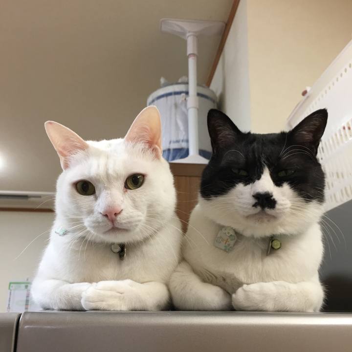 E38e797f 8235 4665 aa94 44dce1307d32 1518860080063