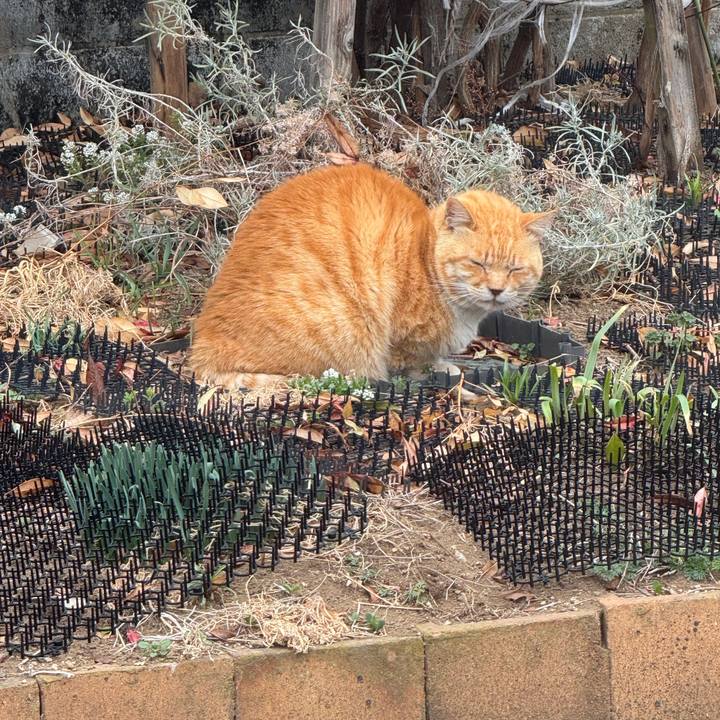 E38eabcf 477a 46e4 950f d13daf2c7ca2 1772419894795