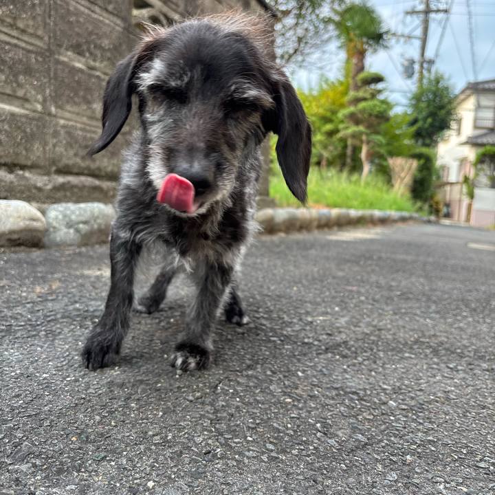 E38eb396 00da 4660 925e c4ba7dea7a65 1756423617744