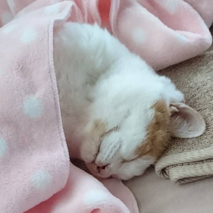 E38ec1c7 7784 4a2b 9afb 4ca93c13e04b 1535543873541