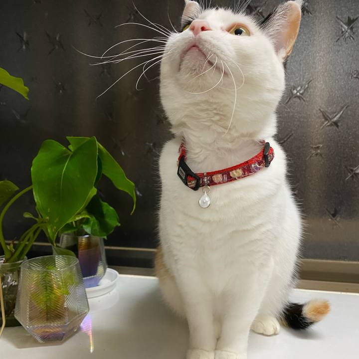 E38ee89a 8ea3 4c28 850a 4813cdc31777 1672317566689