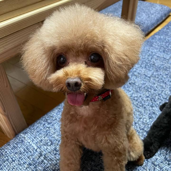 E38f0605 9793 4f36 9128 b0127fcf3b90 1630217618788