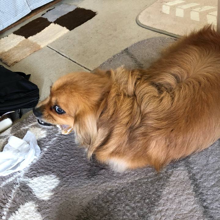 E38f2246 fad9 4c17 8676 14d1ea9e9c15 1552189131992