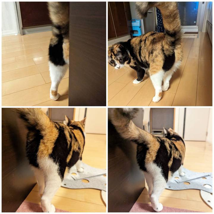 E38f3fd1 993f 4a82 b0cb b35e42e8670e 1699502629211