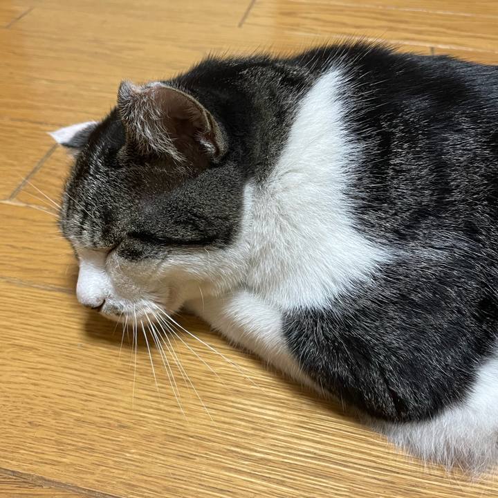 E38f4e61 27e7 46b1 8754 b8149abbeecb 1693913339029