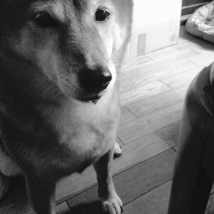 E38f50c5 cdd2 47cc a3c6 3b4efca82c72 1536377395371