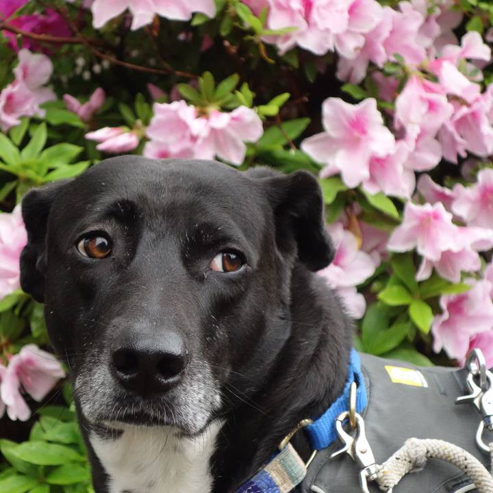 E38f7256 9bb8 4ad3 8bdb 5ea2cddf33cd 1650416565628