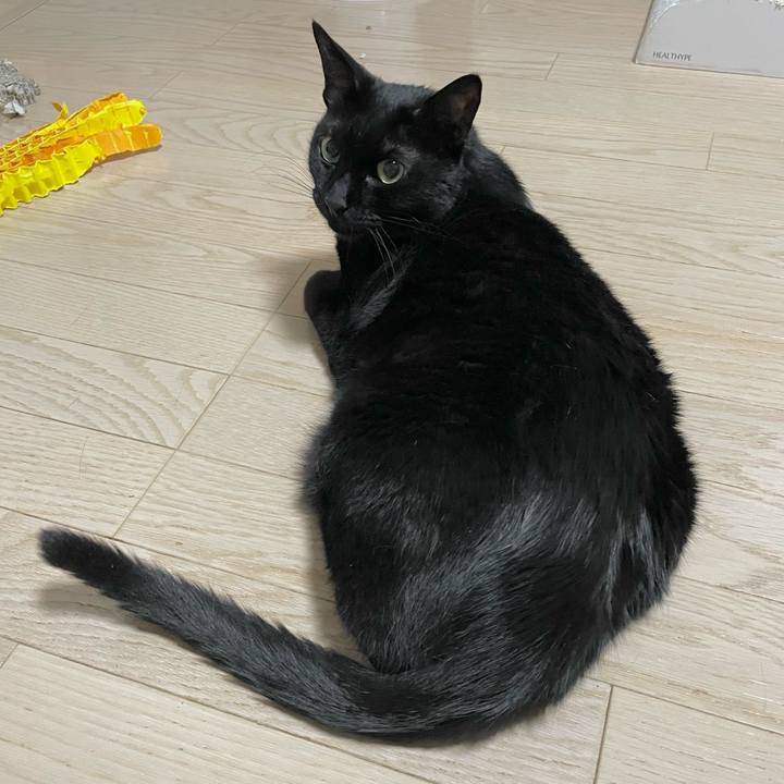 E38f7d3d aa18 42b6 a282 f4e46883d352 1718628485403