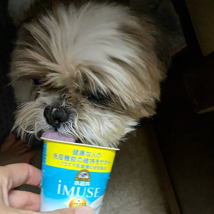 E38f844e c5f2 4cf9 b5ae 15088f965640 1624963127689