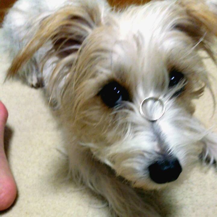 E38f9736 9a80 4287 8bc8 3a199ee3da9c 1513172013396