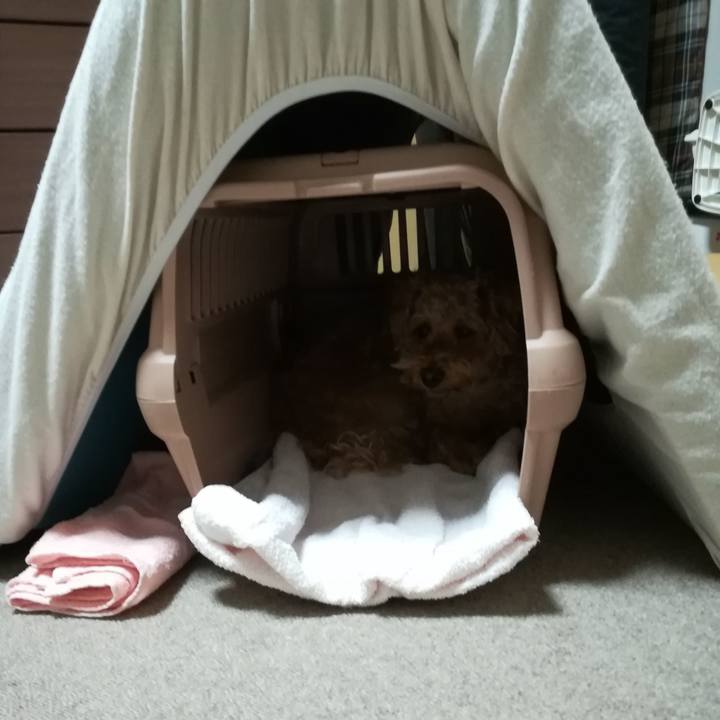 E38fa3ce 3eb4 46d6 bf75 9eb149a20634 1563839764991