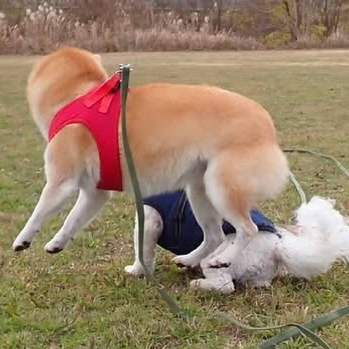 E38fa5df 0a45 4e65 8afb b1fc91fb1d3c 1736981906447