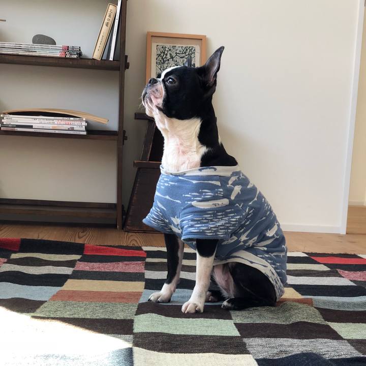 E38fb8d9 f4e4 4d81 8e32 e7ec54437942 1520834687841