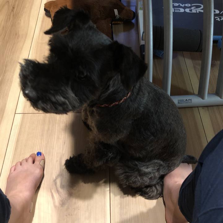 E38fcac7 bc58 4047 8efa 099da0234bf5 1530796742265