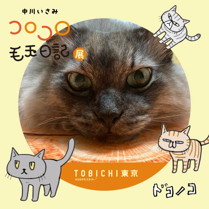 E38fe260 2a3c 42ec a94e 3c7976fb0f23 1740700652387